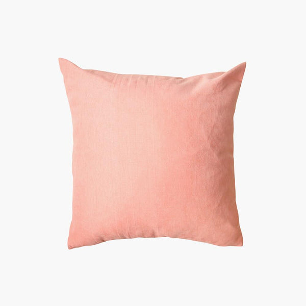 Throw Pillow Cushion